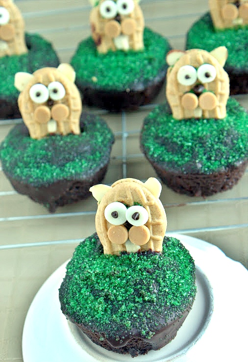 groundhog cupcakes